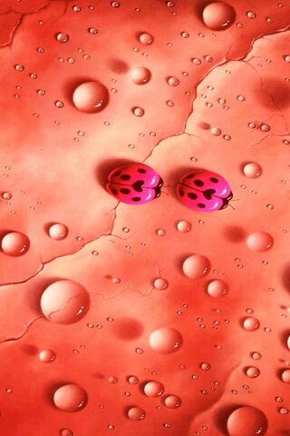 Whimsical Wonders: Ladybugs on a Leaf