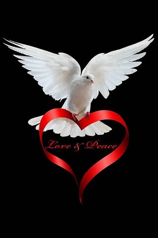 Harmony in Flight: A Sy..