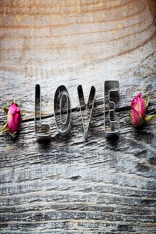 Sweet Sentiments: Love in Bloom 🌹❤️