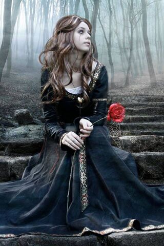 Enchanted Rose: A Tale of Mystery 🌹✨