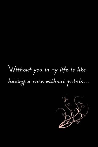 Petals of Absence 🌹