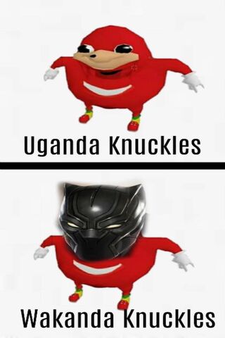 Wakanda Knuckles: A Mem..