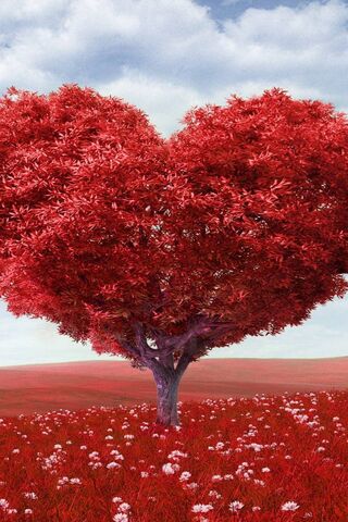 Heartfelt Nature: The Love Tree ❤️🌳