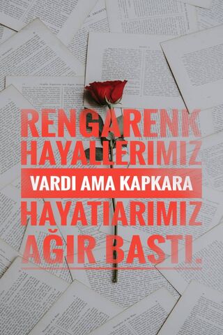 Dreams in Contrast: A Rose Among Pages 🌹📖