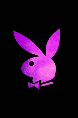 Your play bunny