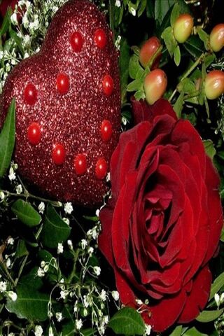 Love Blooms: The Heart ..