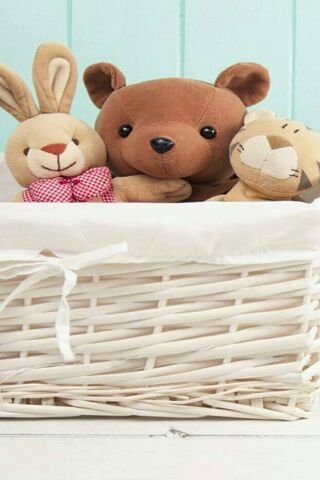 Adorable Cuddle Companions 🧸🐰