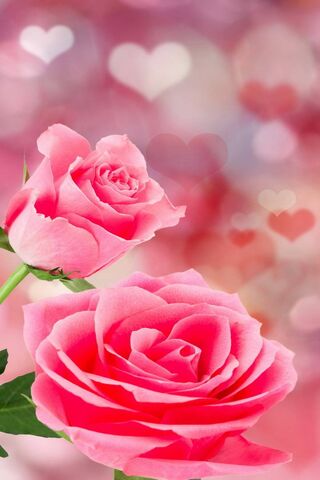 Blushing Beauties: A Ro..