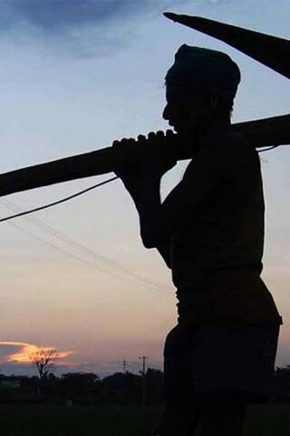 Sunset Strength: Celebrating Farmers 🌾🌅