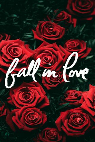 Fall In Love