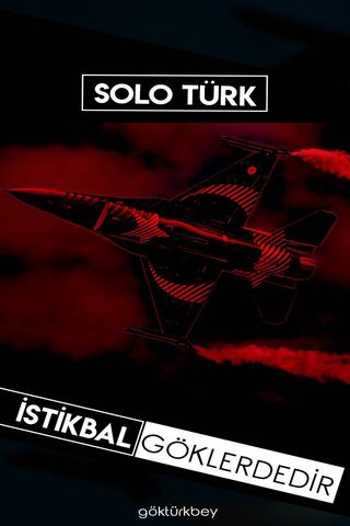 Solo Türk: The Sky's Ch..
