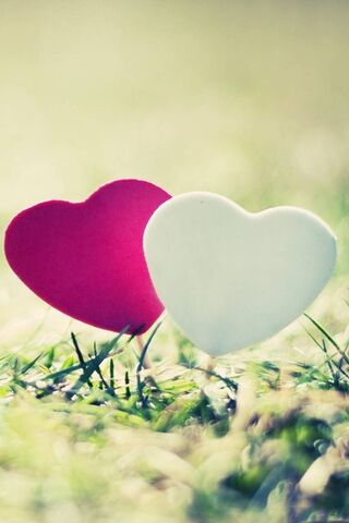 Love Blossoms: Sweet Hearts in Nature 🌸❤️