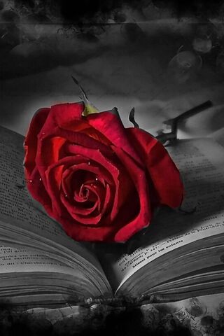 Whispers of Love: The T..