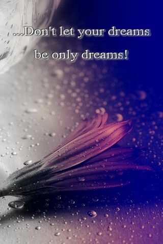 Awakening Your Dreams 🌸✨