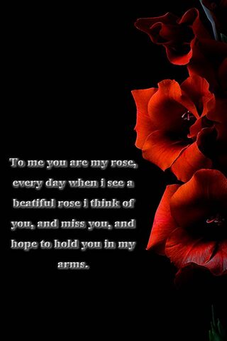 Whispers of Longing 🌹