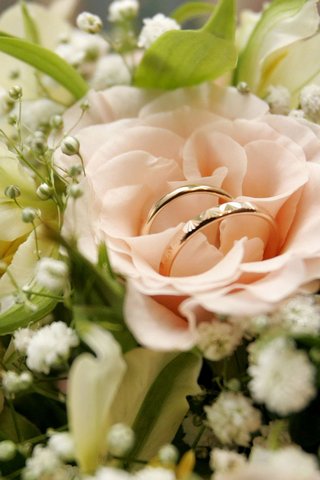 Eternal Bonds: A Love R..