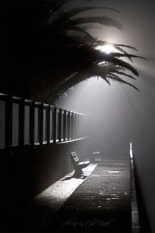 Whispers of Solitude 🌫️✨