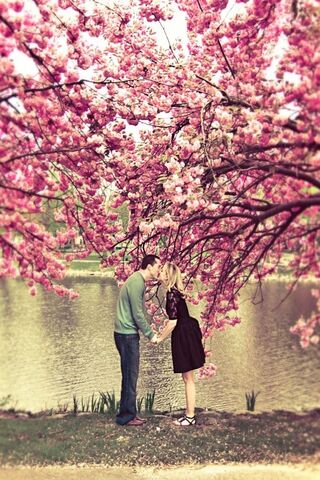 Blossoming Love Under Cherry Blossoms 🌸❤️