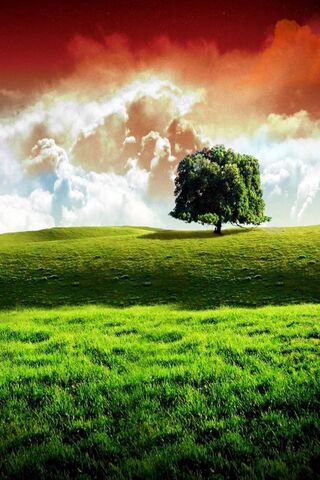Elysian Fields: A Repub..