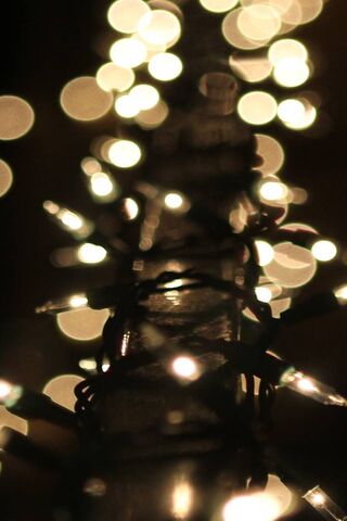 Twinkling Dreams: A Gli..