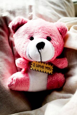 Cuddle Up with Love: The I Love You Teddy