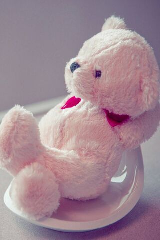 Charming Cuddles with Cute Tedy 🧸💖