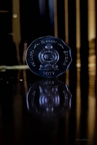 Shining Wealth: The Story of a Coin