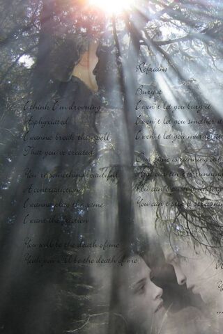 Twilight Poem