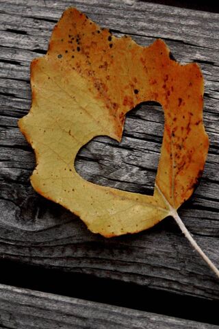 Love Leaf