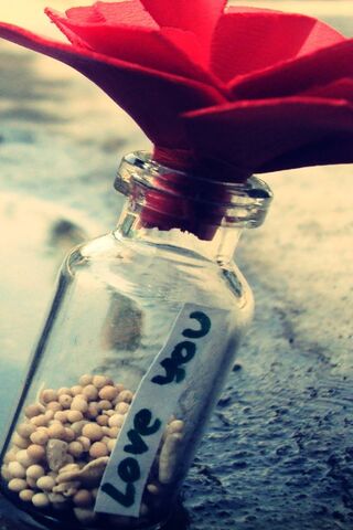 A Jar of Affection 🌹✨
