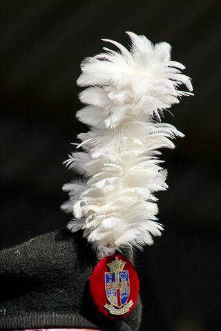 The Feathered Crest of St. Sylvester College 🎓✨