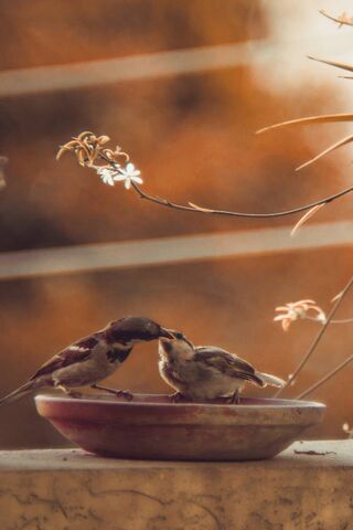 Nurturing Bonds: A Father's Love in Nature 🌼❤️