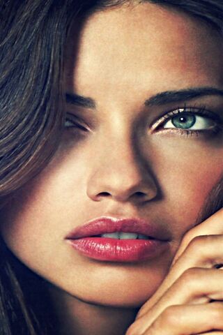 Glamour Unveiled: The A..