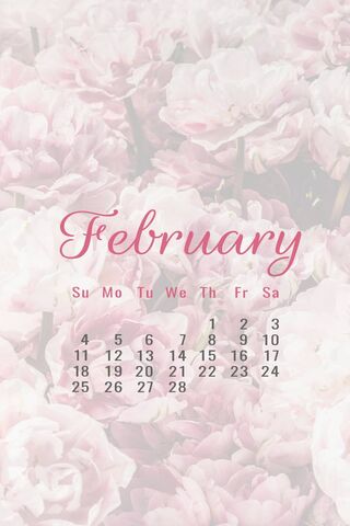 Rosy February