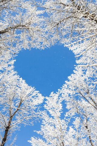 Winter's Love: A Heart in the Sky ❤️❄️