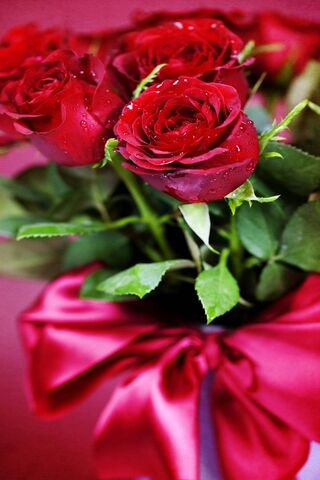 Romance in Bloom: A Bou..