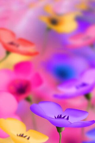 Blooming Bliss: A Symph..