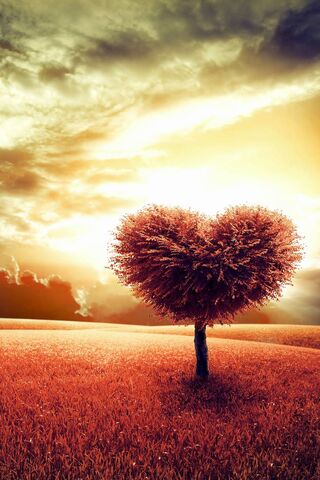 Heartfelt Serenity: The Love Tree 🌳❤️