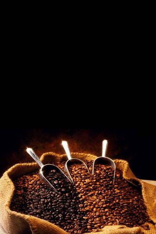 The Rich Aroma of Coffee Bliss ☕✨