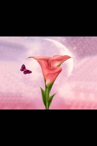 Whispers of Spring 🌸🦋