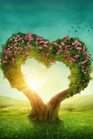 사랑의 나무
