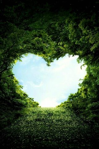 Nature's Love: A Heart-Shaped Escape 💚🌳
