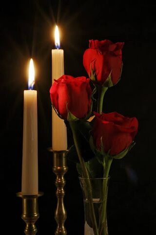 Romance in Bloom: The E..