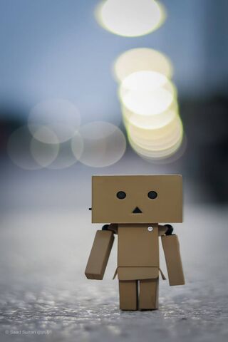 Whispers of the Night: Danbo's Bokeh Adventure 🌌✨