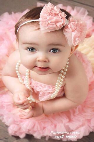 Adorable Elegance: A Li..