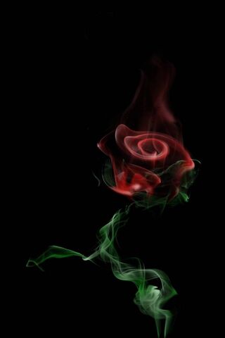 Smoke Rose