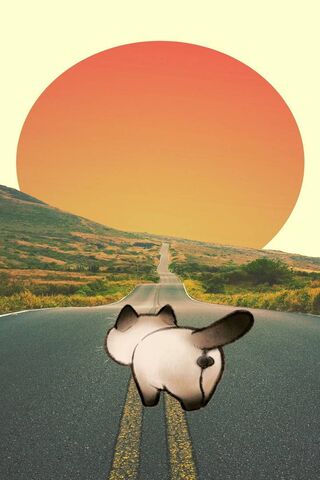 Chasing the Sunset: Cat Miau's Adventure 🌅🐾