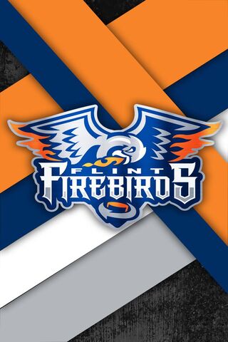 Soaring Spirit: Flint Firebirds Logo
