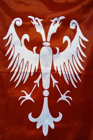 The Majestic Double-Headed Eagle 🦅