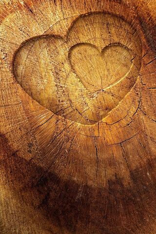 Nature's Love Carved in Wood ❤️🌳